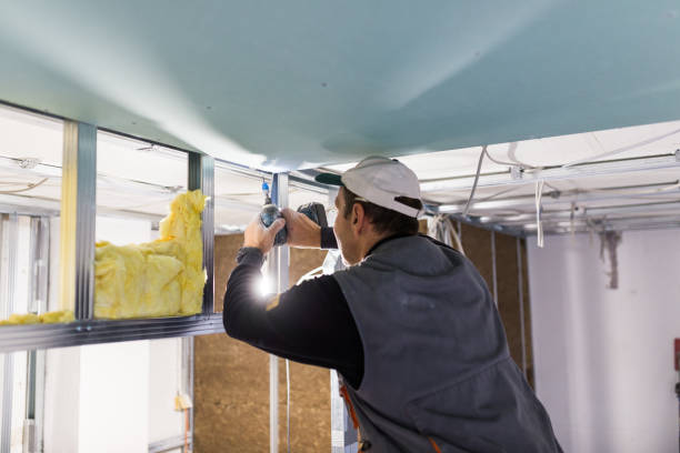 Best Commercial Insulation in Baxter Village, SC