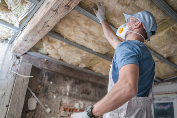Best Energy Efficiency Solutions in Baxter Village, SC