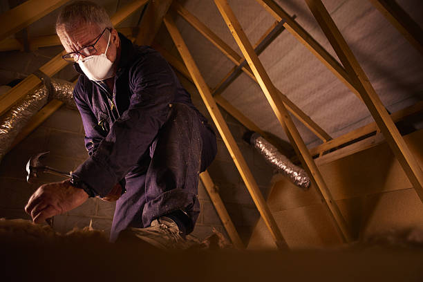 Best Insulation Installation Services in Baxter Village, SC